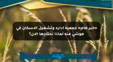 «خبر هام» جمعية إدارة وتشغيل الإسكان في هوشي منه لماذا نحتاجها الآن؟